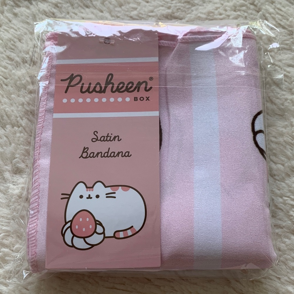Pusheen Satin Bandana Pusheen Box Summer 2025 Box